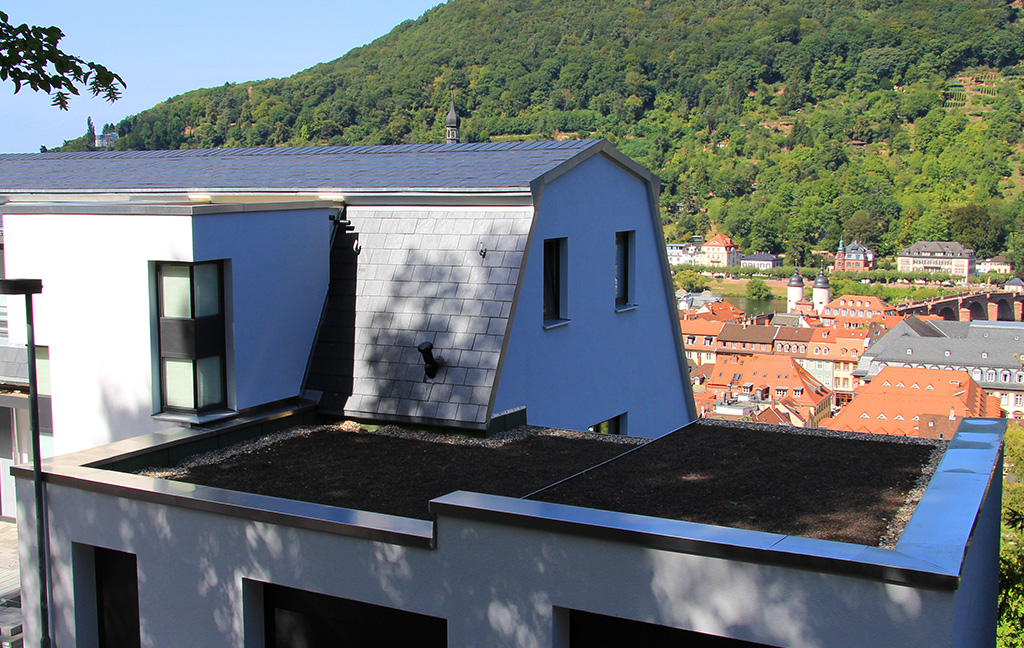 Dachbegrünung unter dem Schloß Heidelberg